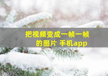 把视频变成一帧一帧的图片 手机app